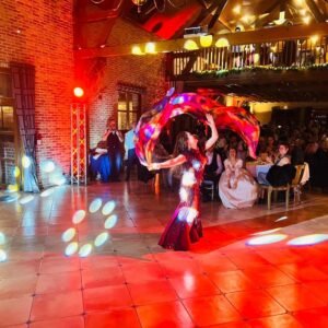 Spectacle pour une celebration mariage invités souriant danseuse au voile